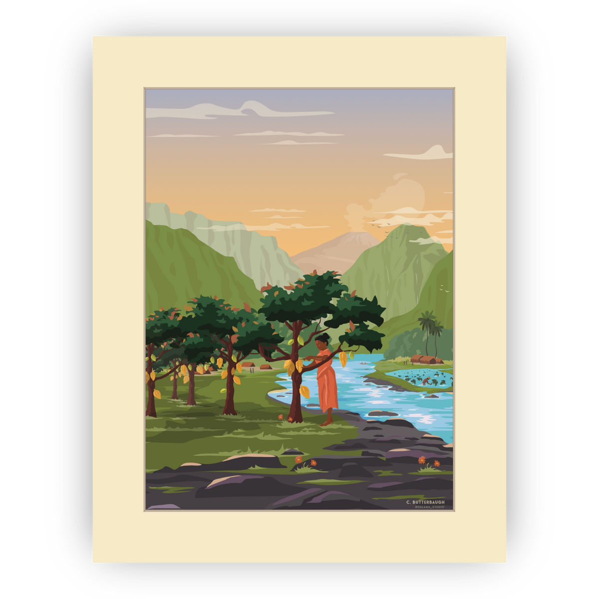 image of hawaiian cacao harvest art print
