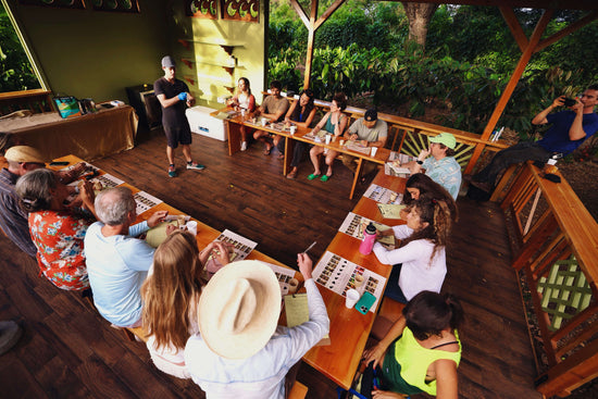 Image of guests doing a chocolate tasting in the Kamananui Farm tasting room