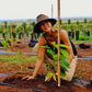 Image of woman planting cacao tree